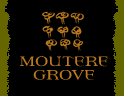 Moutere Grove – Organic Extra Virgin Olive Oil