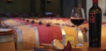 Best of NZ Wine Tours